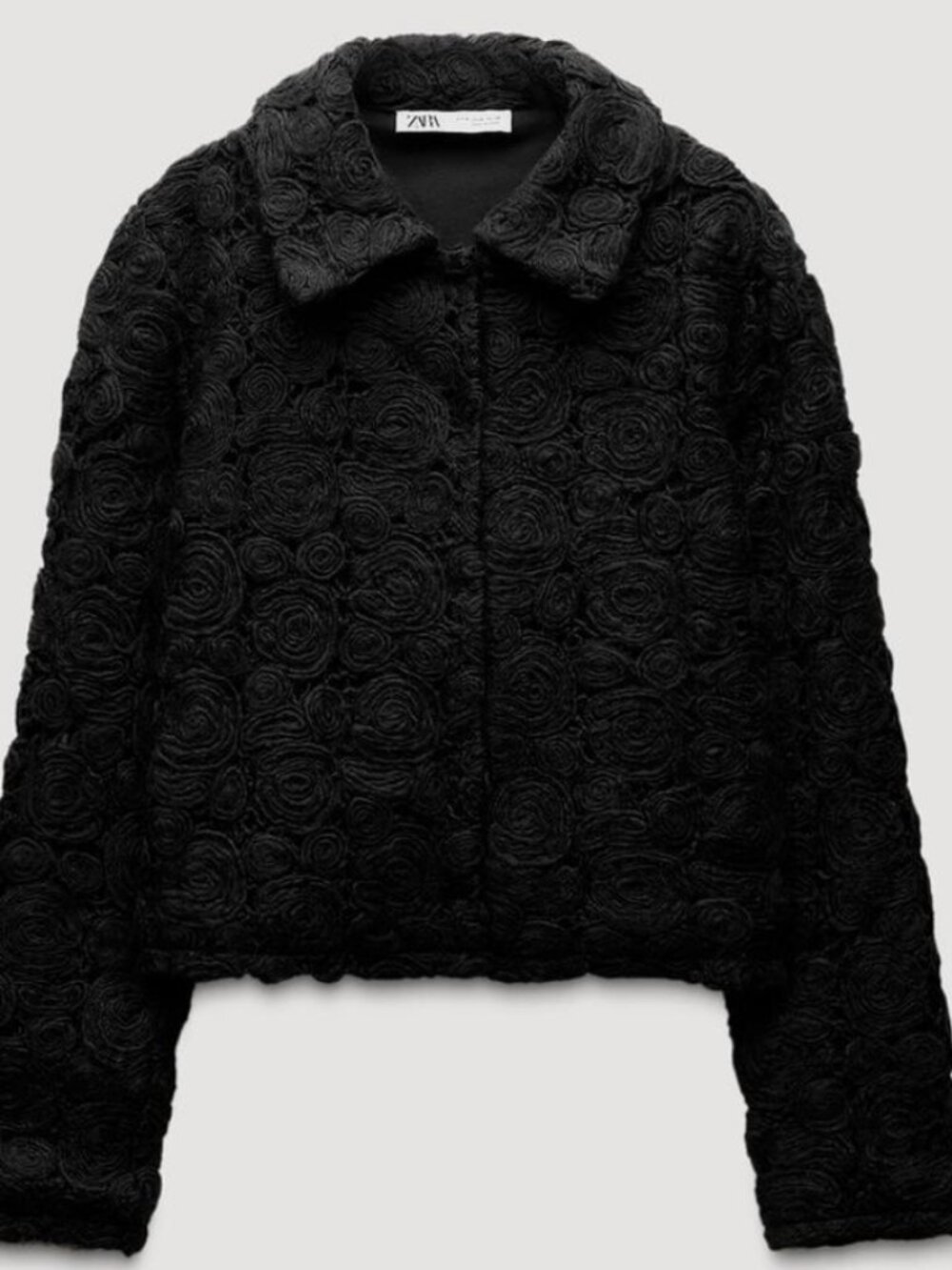 ZARA Embroidered Jacket